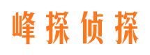 皇姑市调查公司